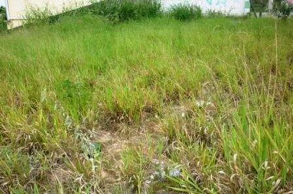 Terreno, 3600 m² - Foto 2