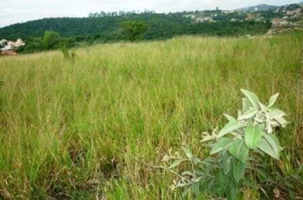 Terreno, 3600 m² - Foto 1