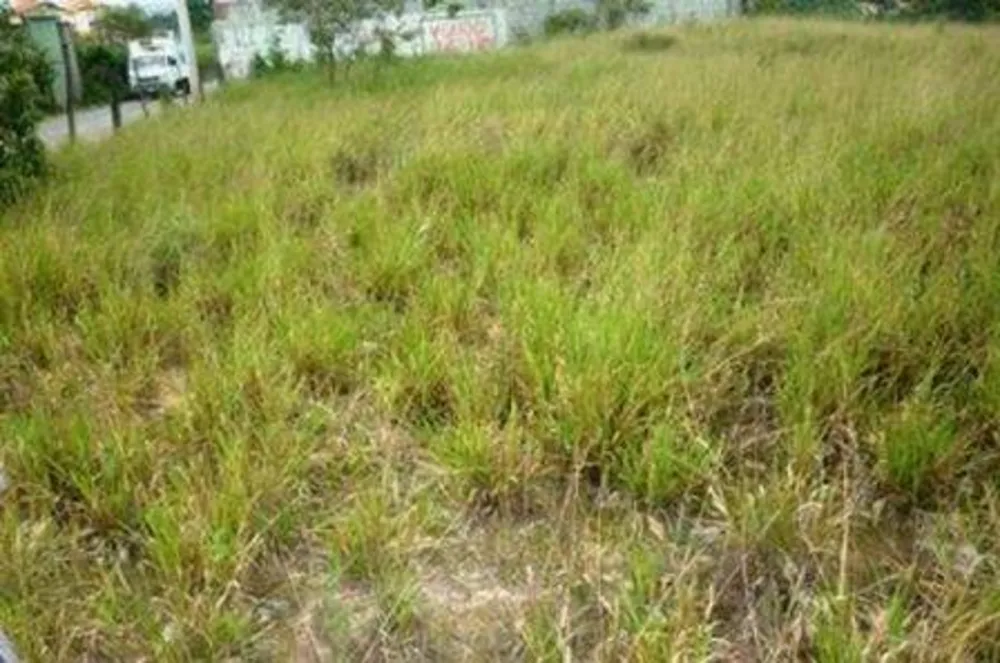 Terreno, 3600 m² - Foto 3