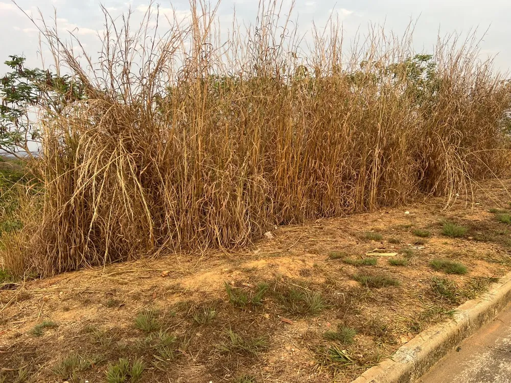 Terreno, 360 m² - Foto 8