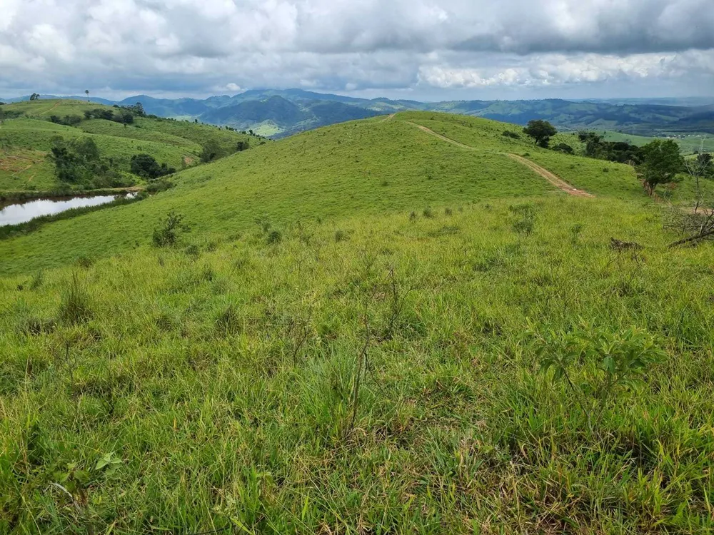 Fazenda, 411 hectares - Foto 15