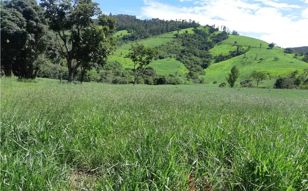 Fazenda, 411 hectares - Foto 2