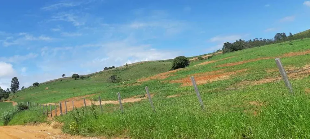 Fazenda, 411 hectares - Foto 12