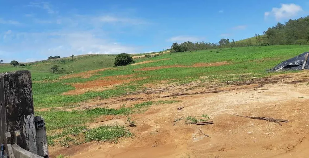 Fazenda, 411 hectares - Foto 10