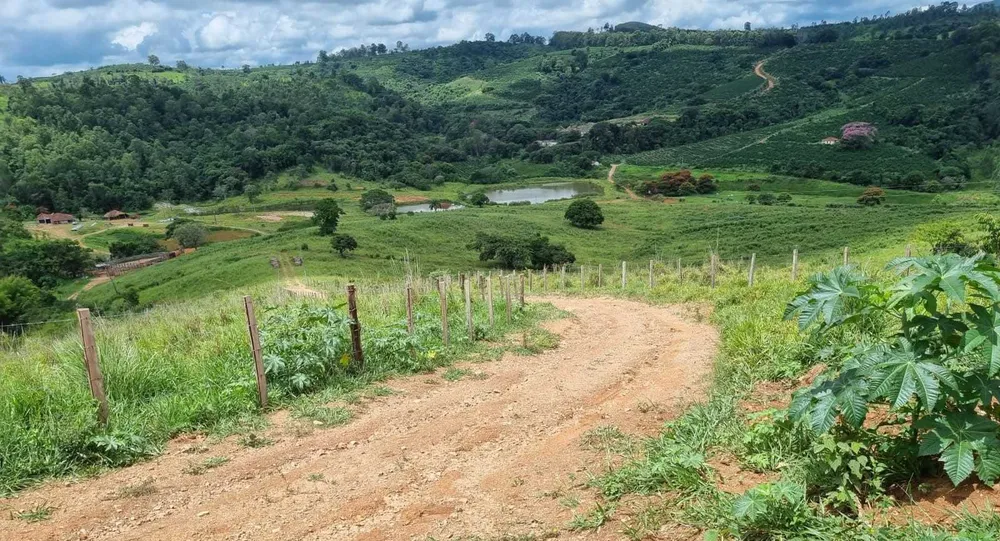 Fazenda, 411 hectares - Foto 3