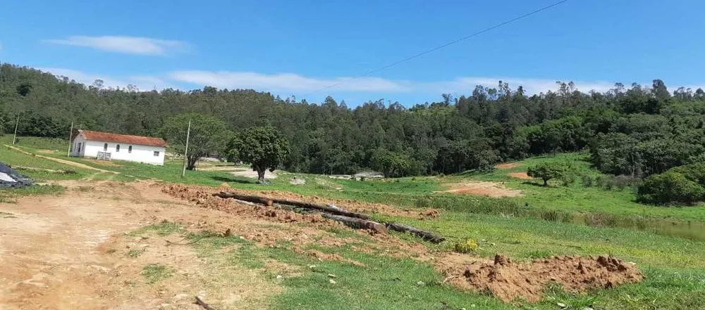 Fazenda, 411 hectares - Foto 6