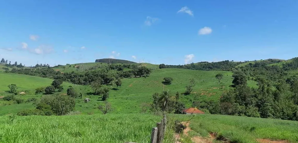 Fazenda, 411 hectares - Foto 10