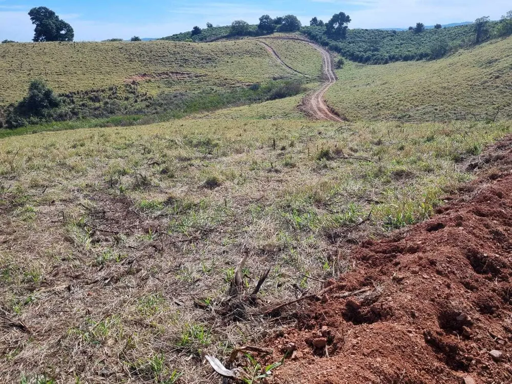 Fazenda, 411 hectares - Foto 11