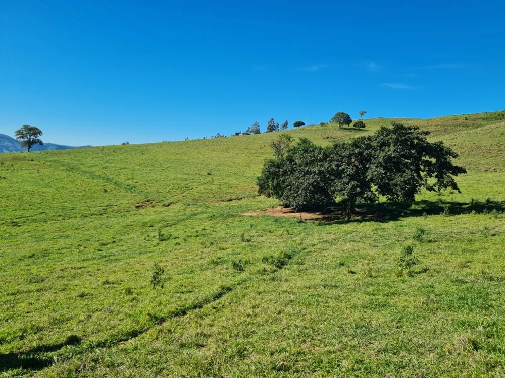 Fazenda, 411 hectares - Foto 16