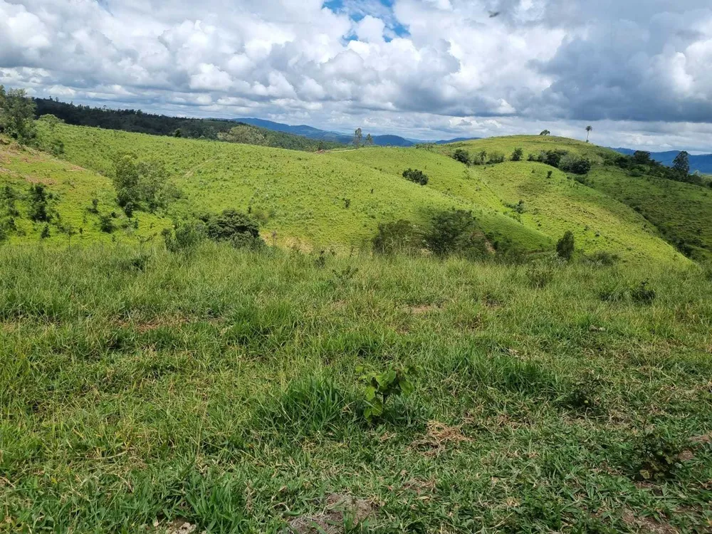 Fazenda, 411 hectares - Foto 5