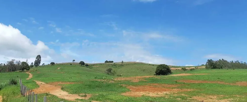Fazenda, 411 hectares - Foto 7