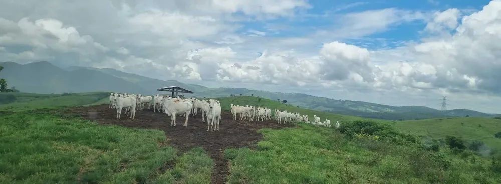 Fazenda, 411 hectares - Foto 13