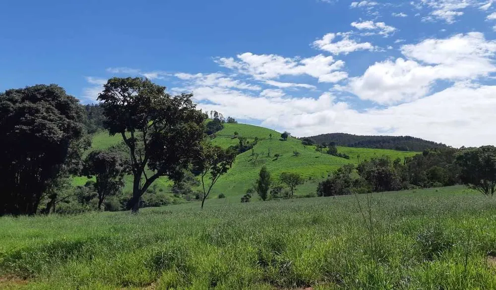 Fazenda, 411 hectares - Foto 9