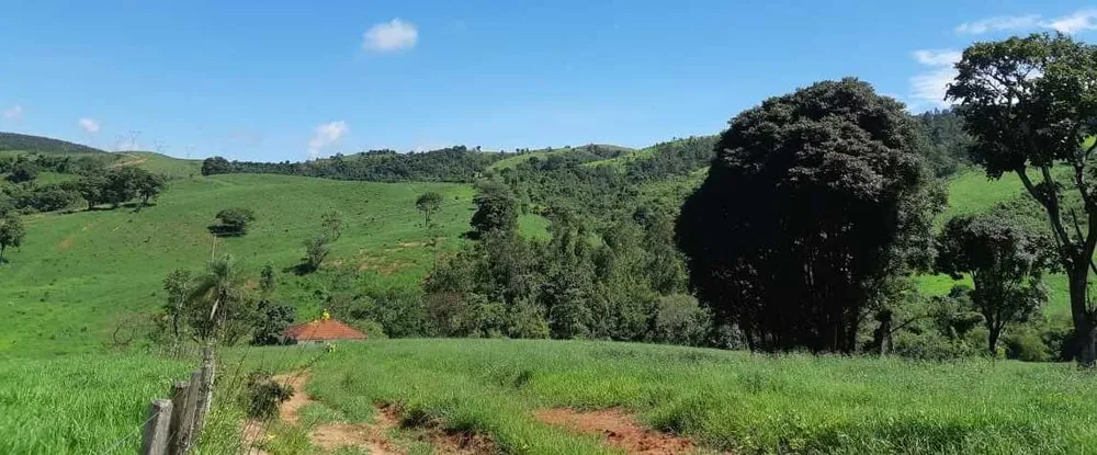 Fazenda, 411 hectares - Foto 8