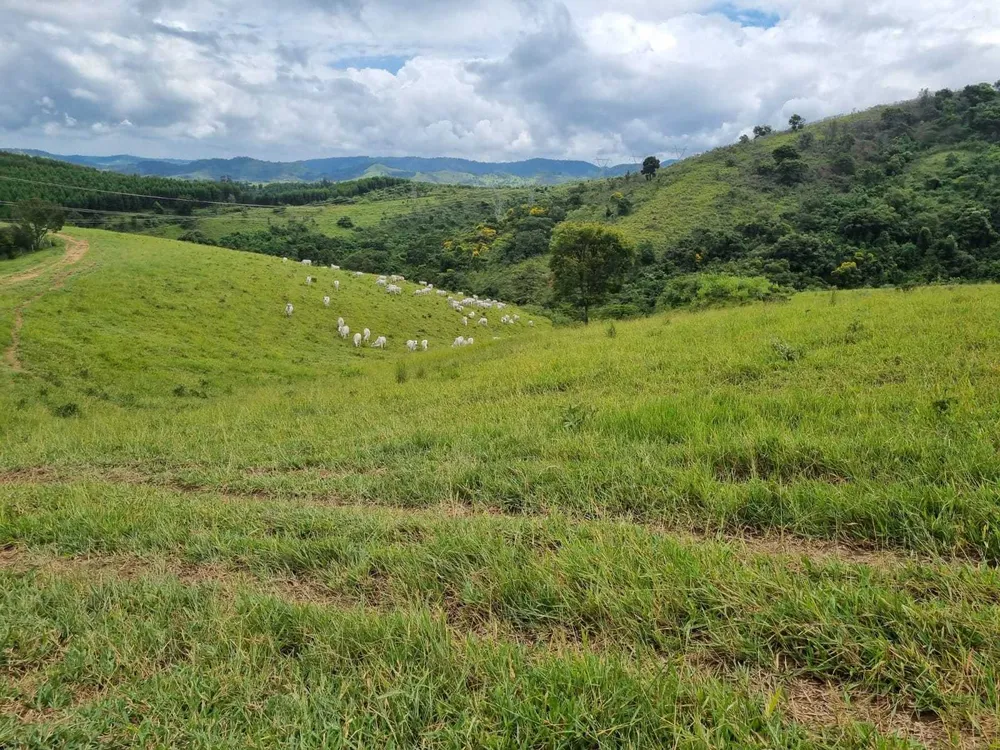 Fazenda, 411 hectares - Foto 14