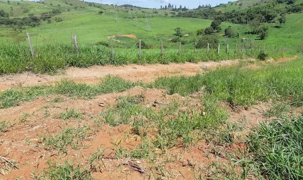 Fazenda, 411 hectares - Foto 9
