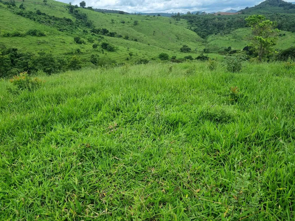 Fazenda, 411 hectares - Foto 21
