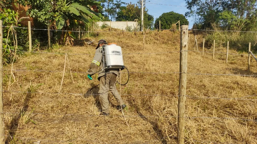 Terreno, 300 m² - Foto 3
