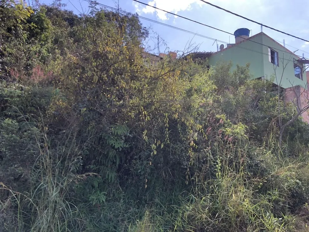Terreno, 374 m² - Foto 3