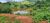 Fazenda, 85 hectares - Foto 3