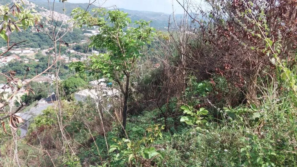 Terreno, 180 m² - Foto 7