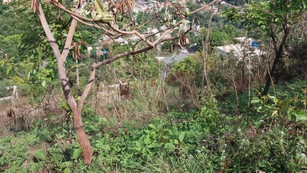 Terreno, 180 m² - Foto 1