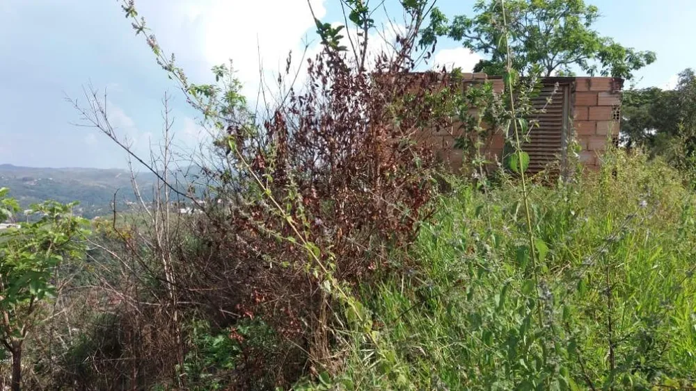 Terreno, 180 m² - Foto 5