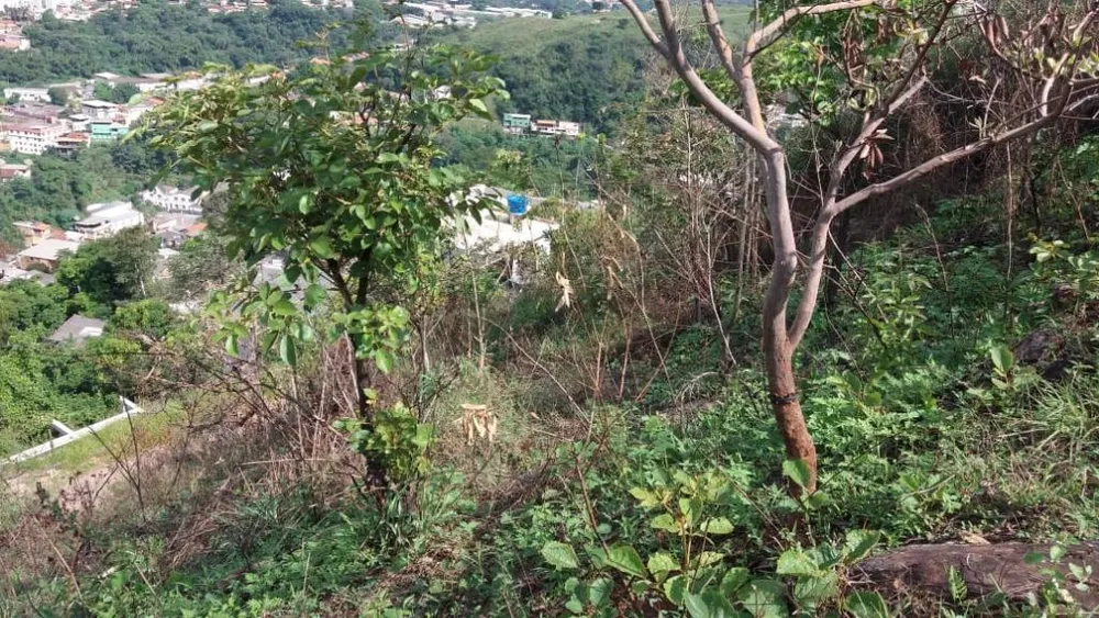 Terreno, 180 m² - Foto 10