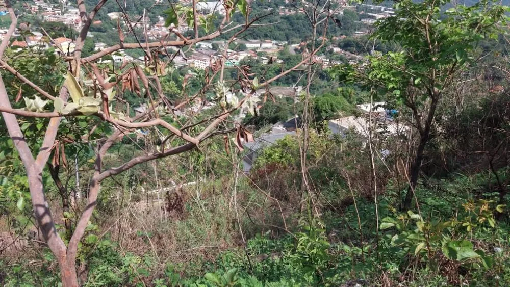 Terreno, 180 m² - Foto 6