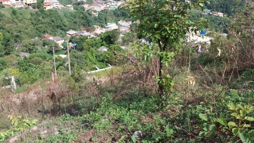 Terreno, 180 m² - Foto 4