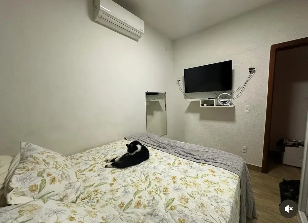 Apartamento, 3 quartos, 65 m² - Foto 3