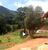 Sítio, 3 quartos, 10000 m² - Foto 3