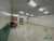 Depósito-Galpão, 250 m² - Foto 3