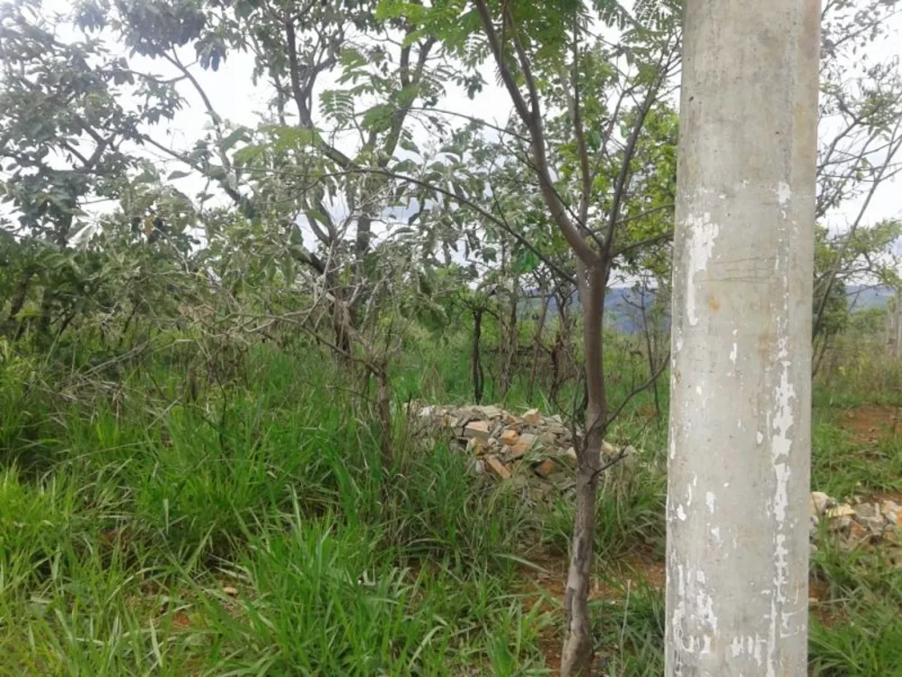 Terreno, 1000 m² - Foto 3