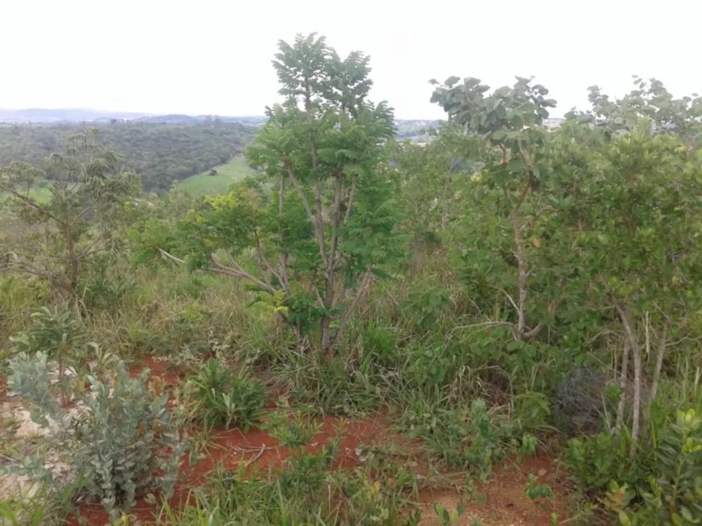 Terreno, 1000 m² - Foto 5