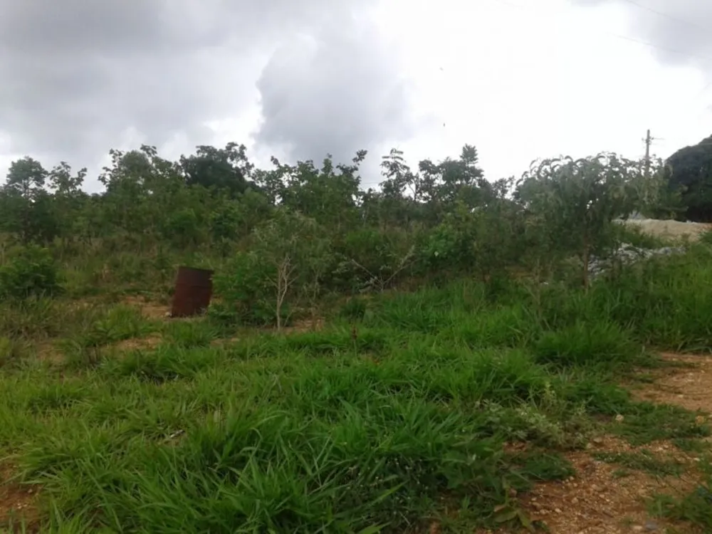 Terreno, 1000 m² - Foto 13