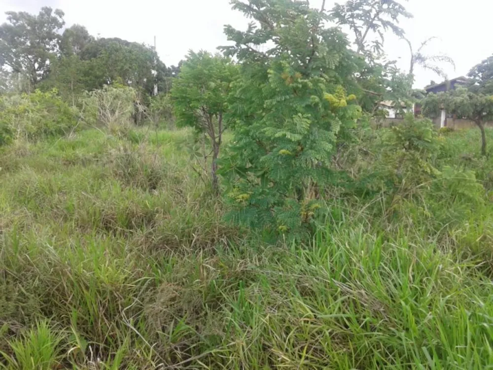 Terreno, 1000 m² - Foto 6