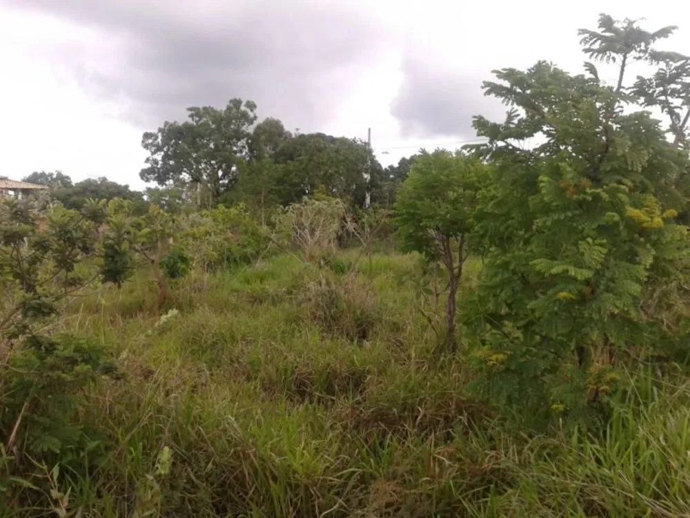 Terreno, 1000 m² - Foto 6