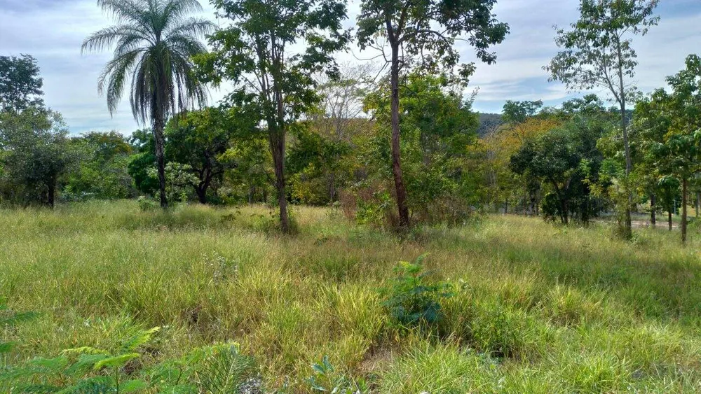 Terreno, 3000 m² - Foto 3