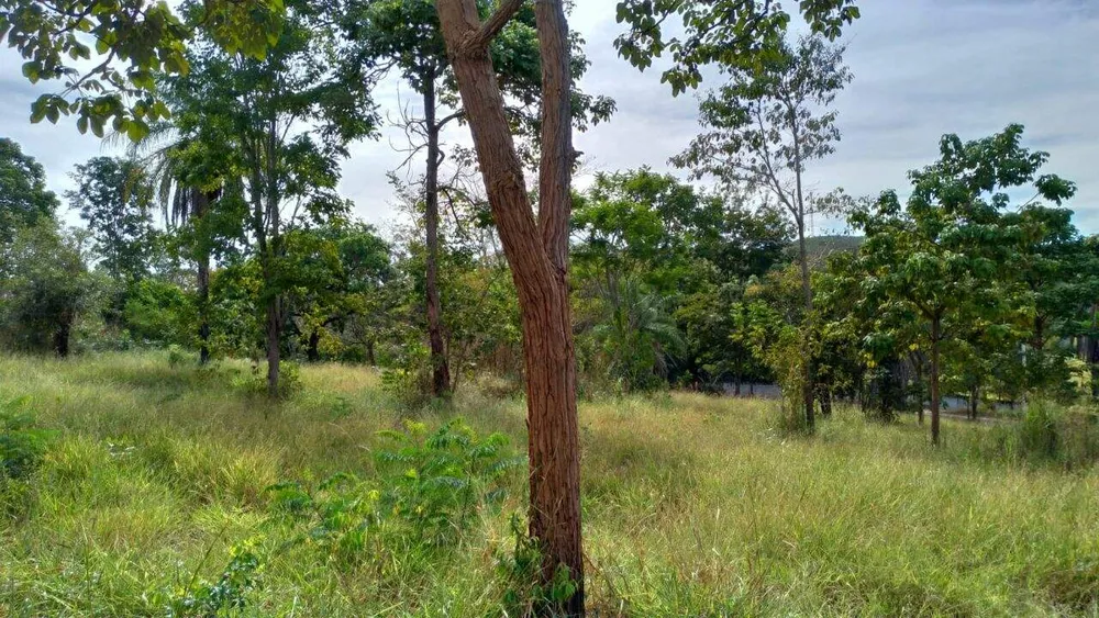 Terreno, 3000 m² - Foto 11