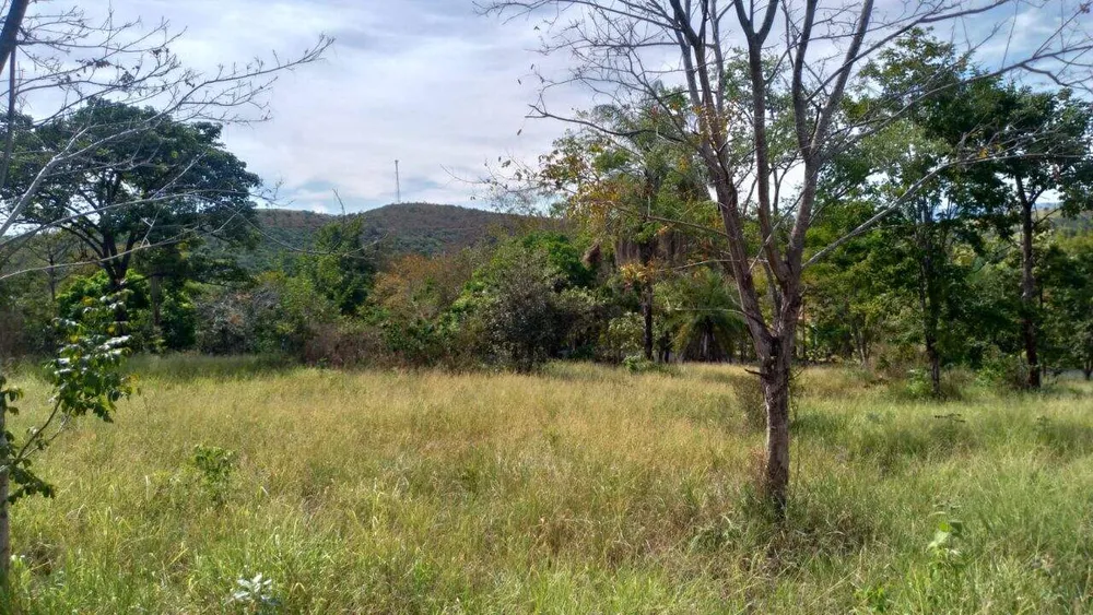 Terreno, 3000 m² - Foto 8