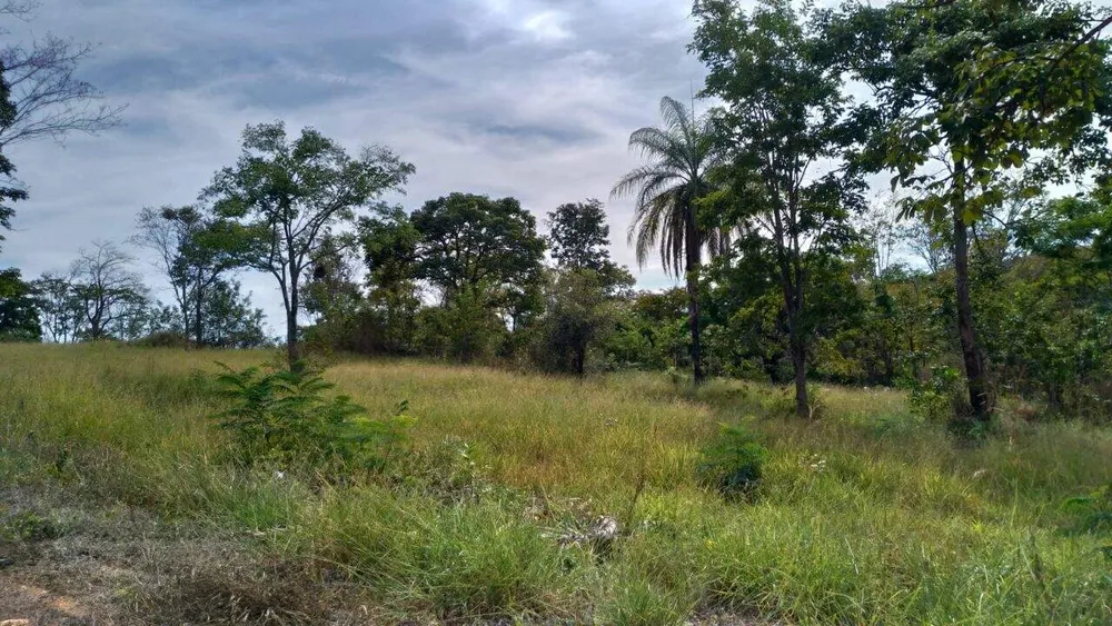 Terreno, 3000 m² - Foto 10