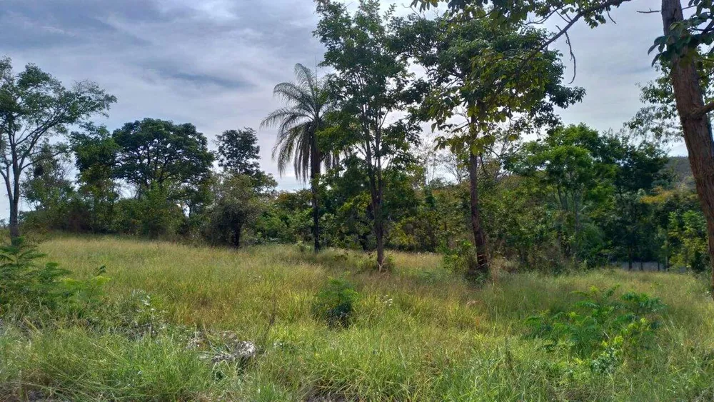 Terreno, 3000 m² - Foto 9