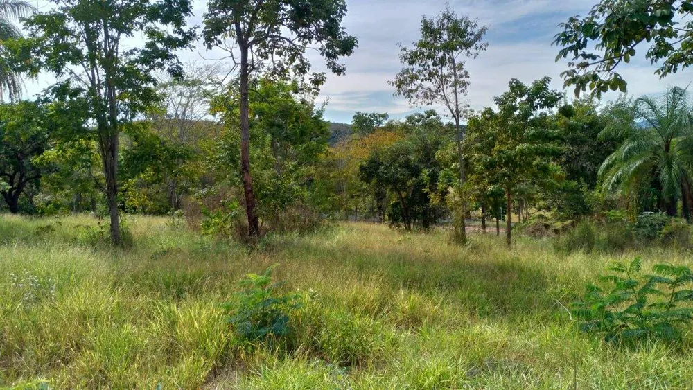 Terreno, 3000 m² - Foto 11