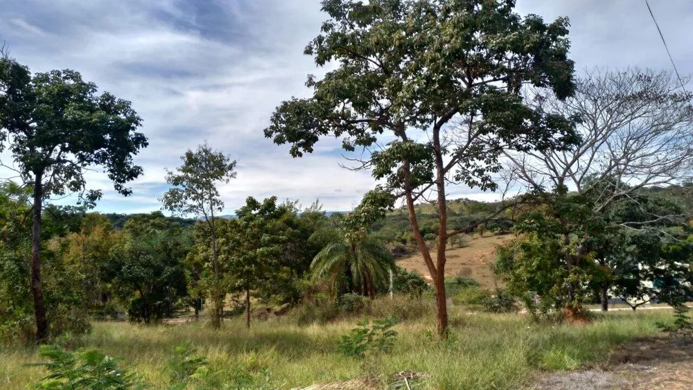 Terreno, 3000 m² - Foto 10