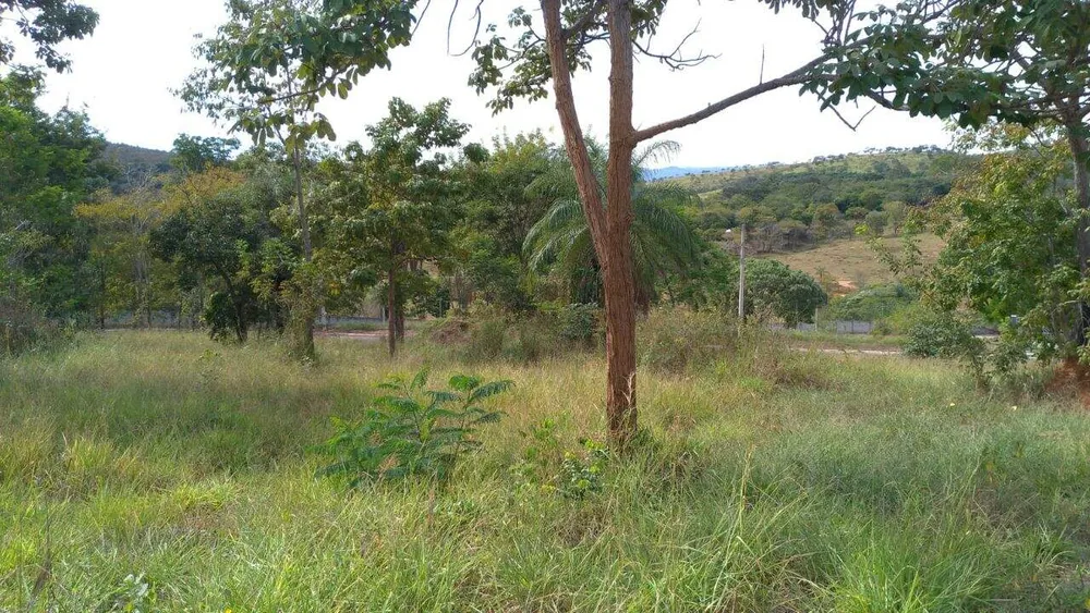 Terreno, 3000 m² - Foto 7