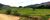 Fazenda, 250 hectares - Foto 1