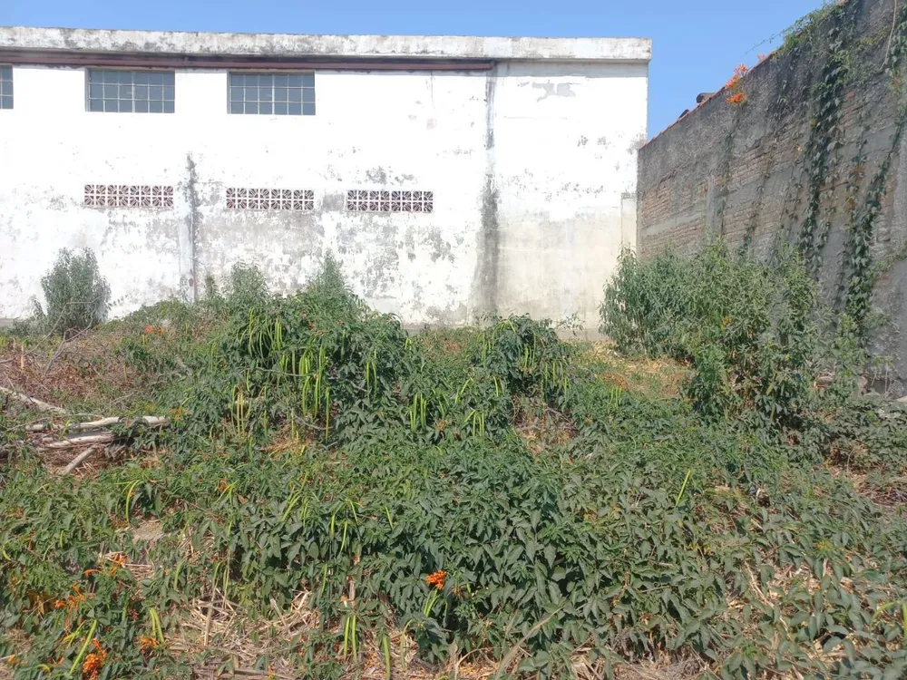 Terreno, 360 m² - Foto 3