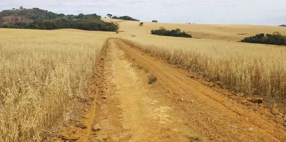 Fazenda, 313 hectares - Foto 1