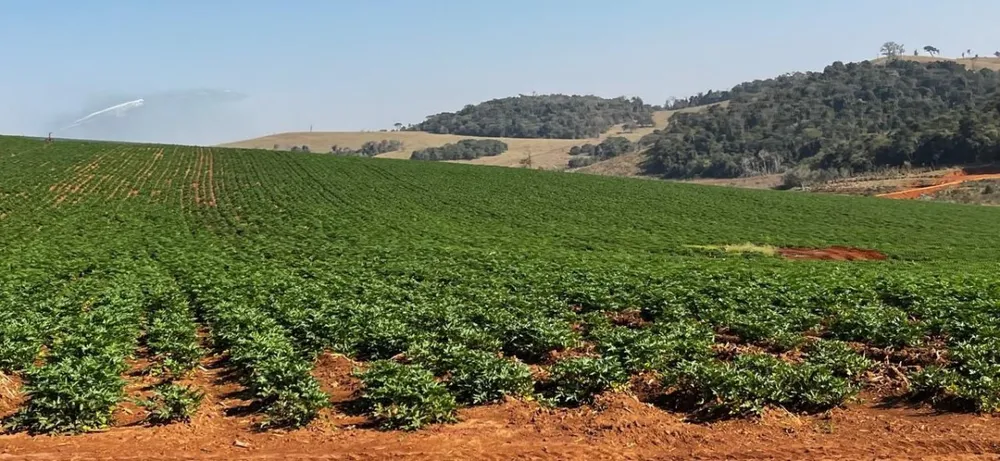 Fazenda, 313 hectares - Foto 18